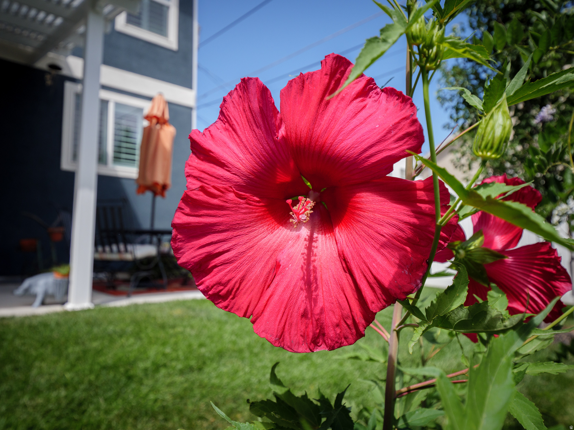 COTTAGE COURT 2 - Residential