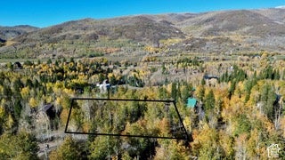 ADDRESS PRIVATE, HIDEOUT, UT  - Image b6d08a40662fecc09ca61d922b0f68a2/1564488131