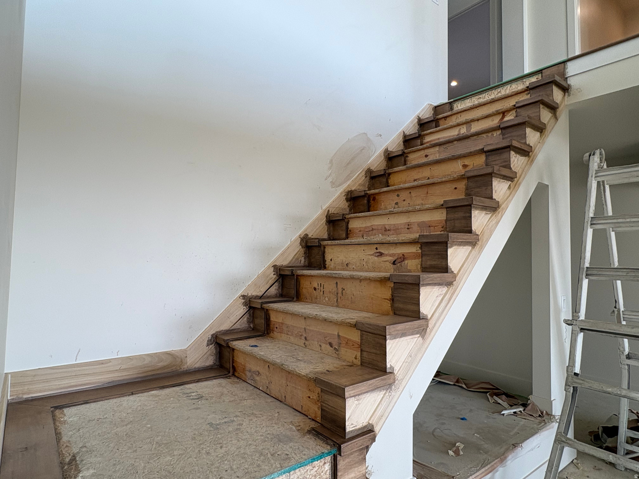 CHESTNUT FARMS - Residential