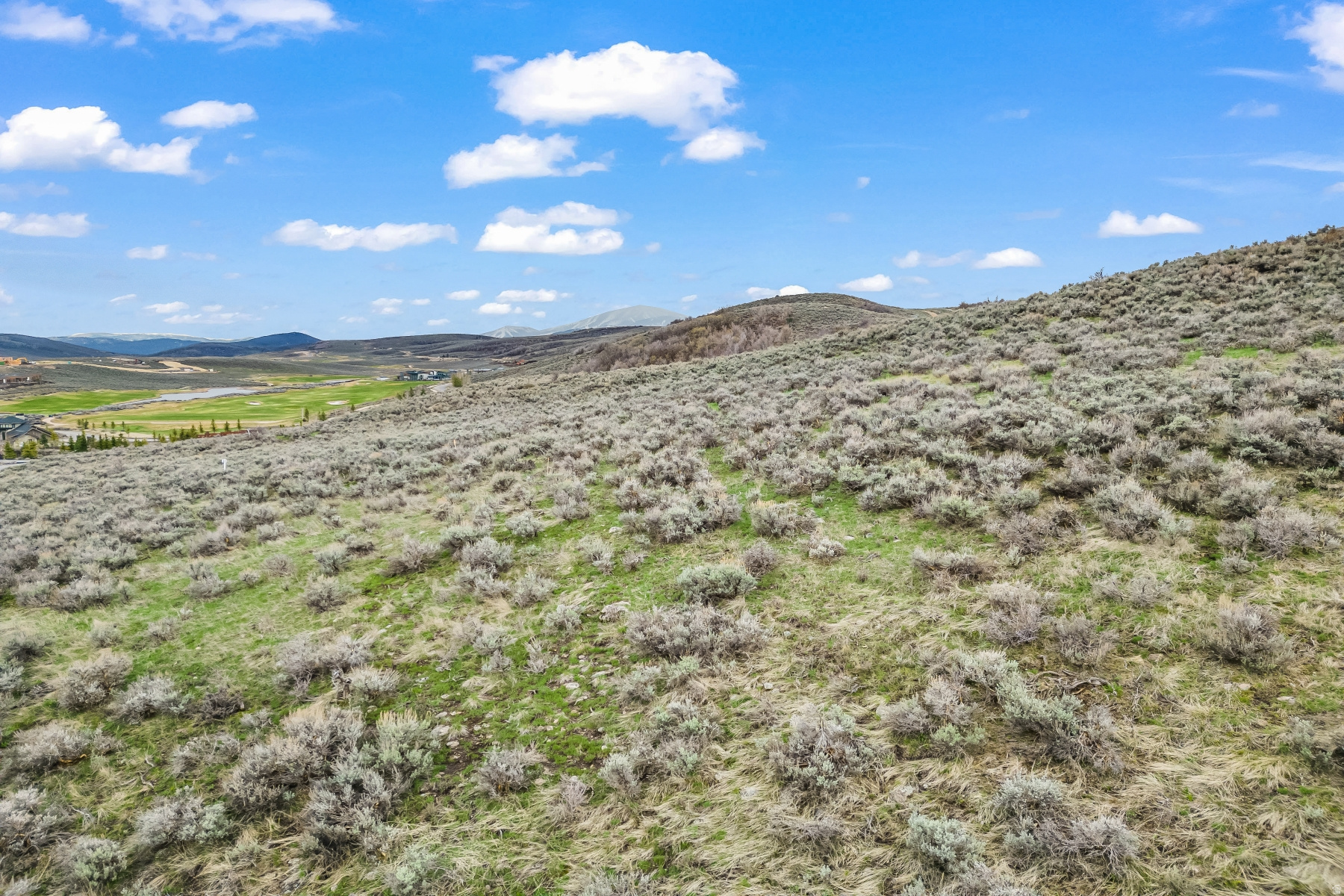 PAINTED SHORES - Land