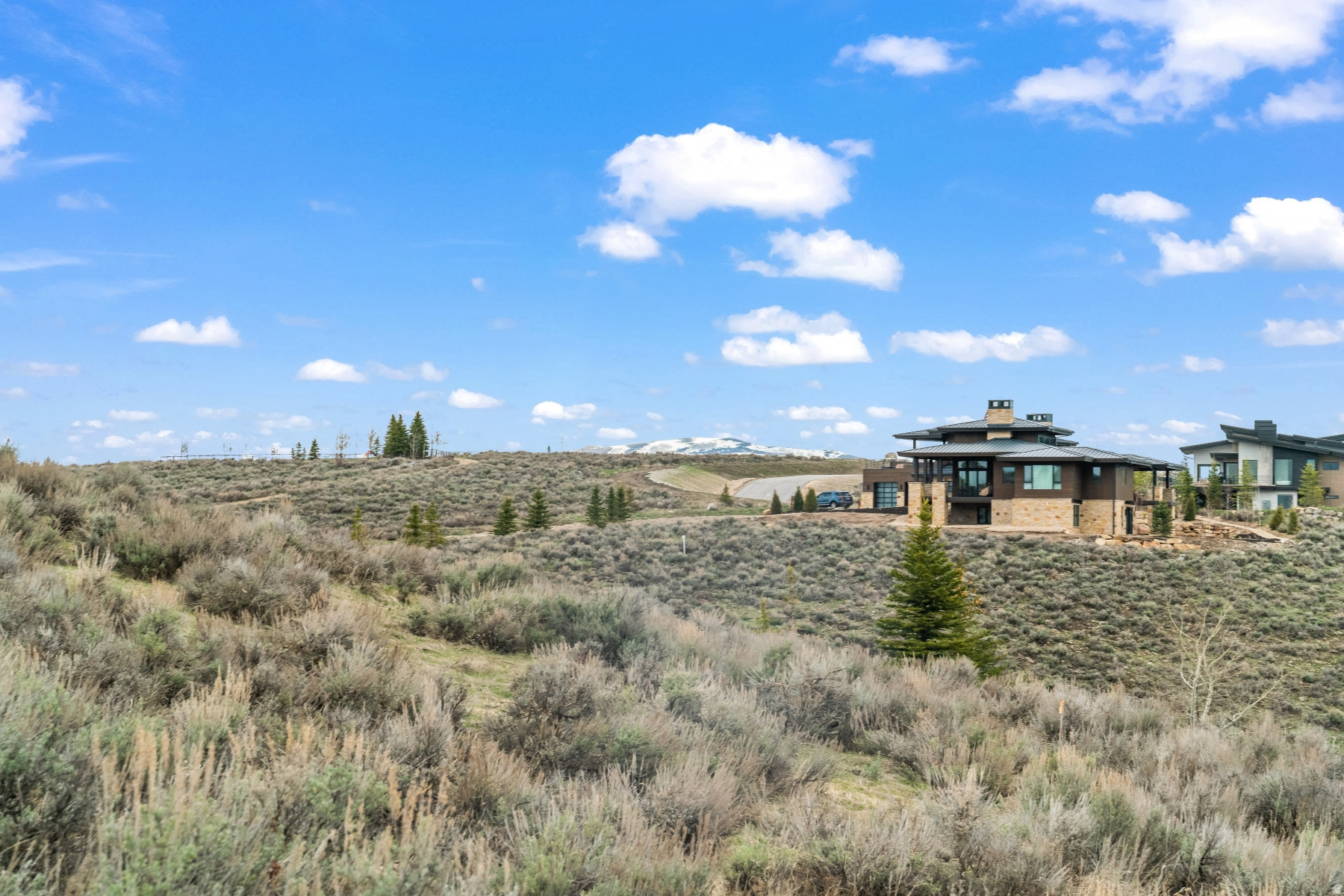 PAINTED SHORES - Land