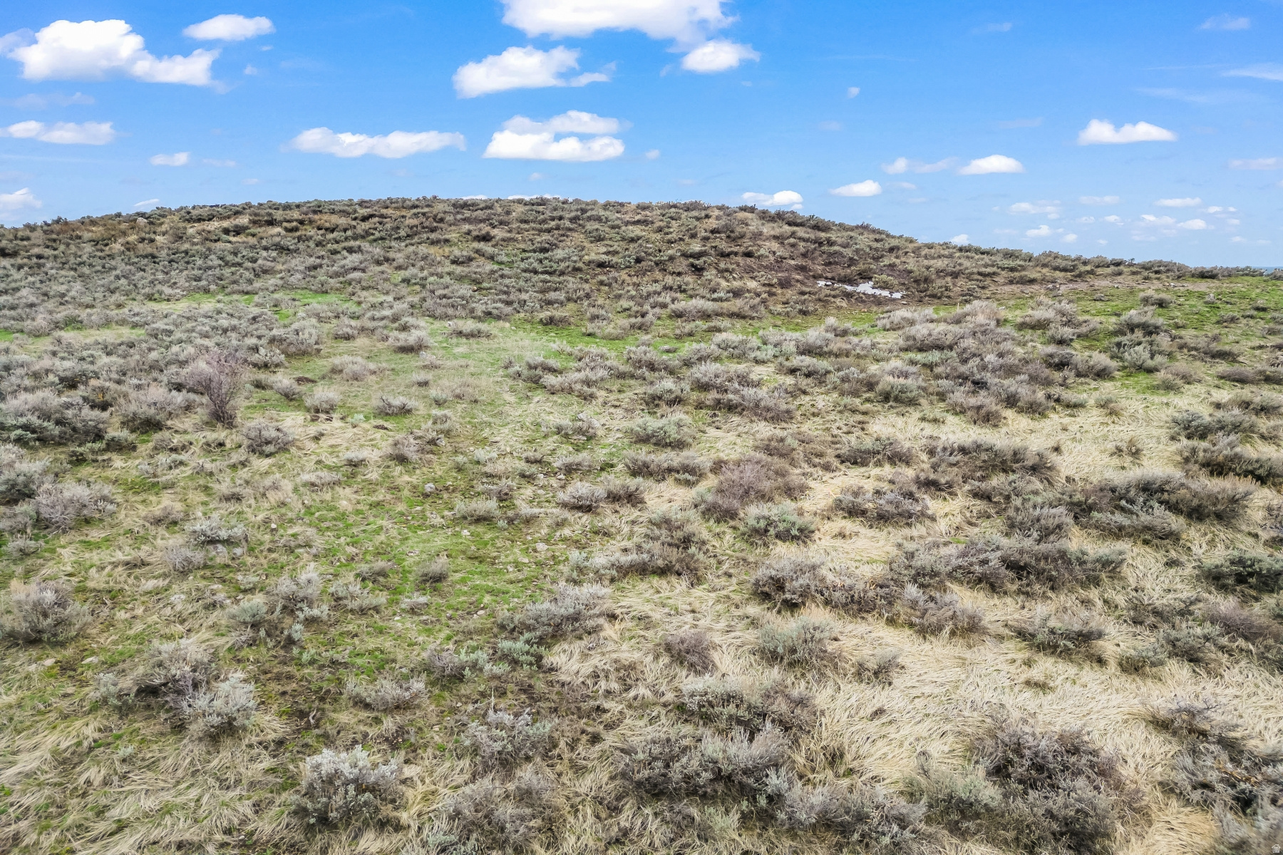 PAINTED SHORES - Land
