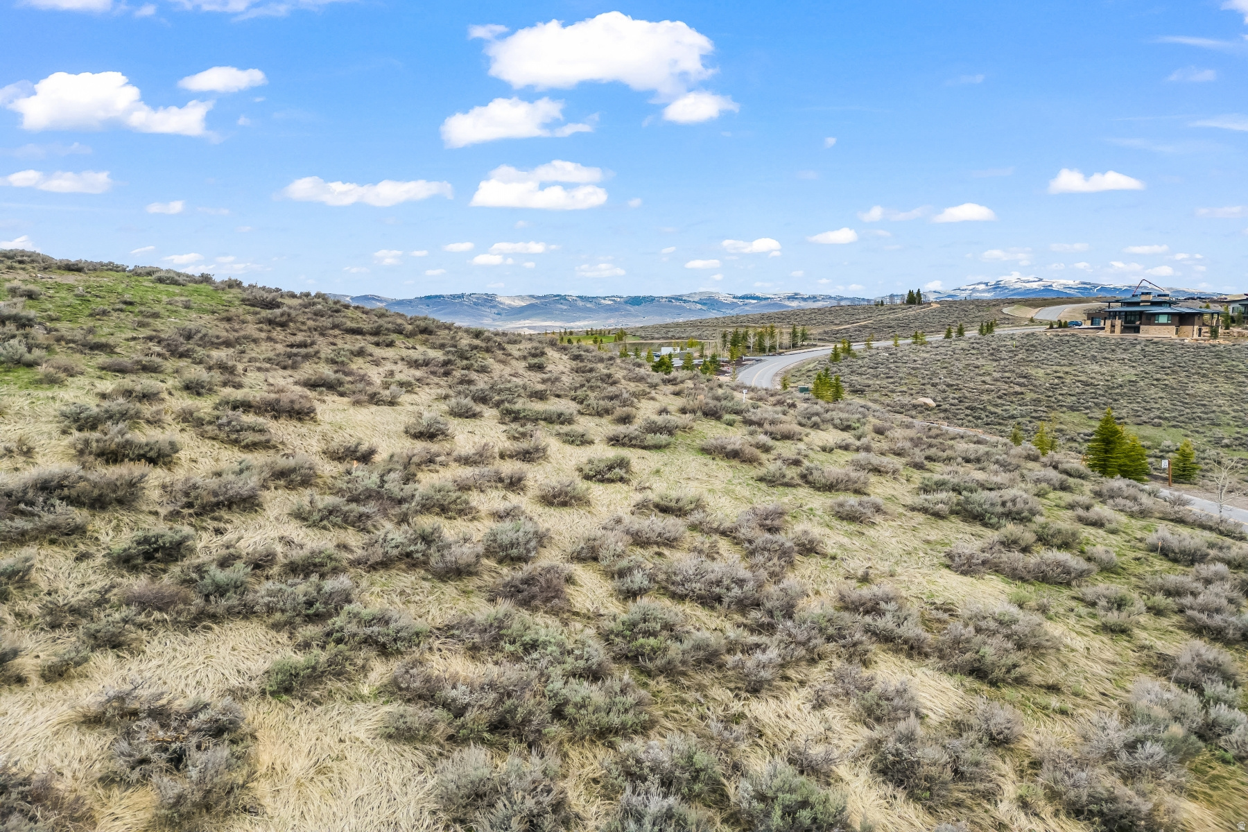 PAINTED SHORES - Land