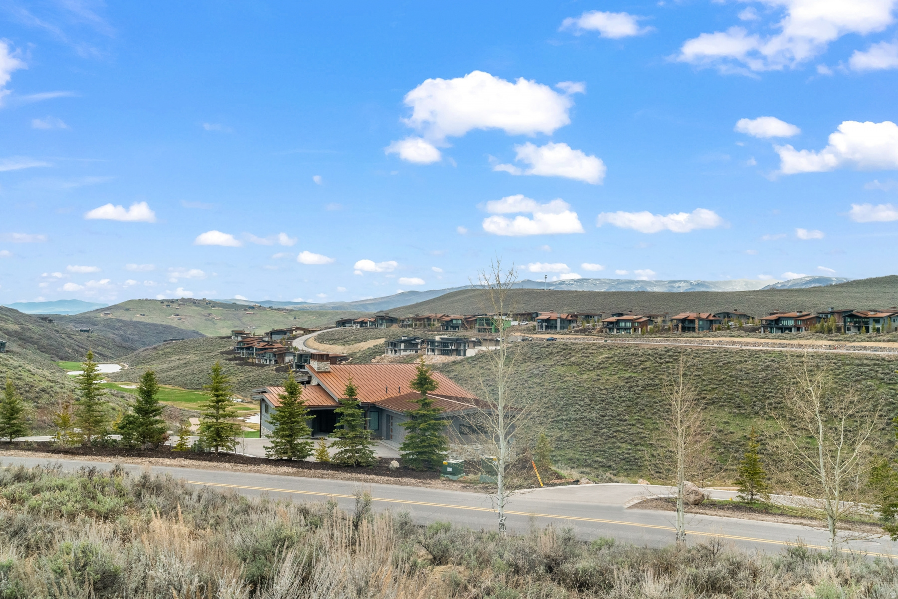 PAINTED SHORES - Land