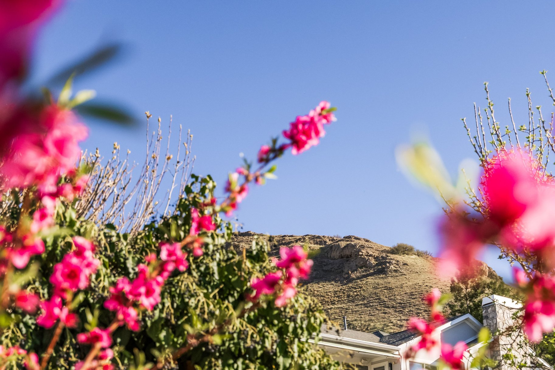 ENSIGN DOWNS - Residential