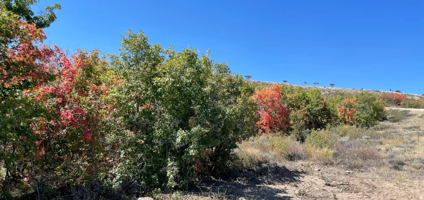 BEAR LAKE SUB - Land