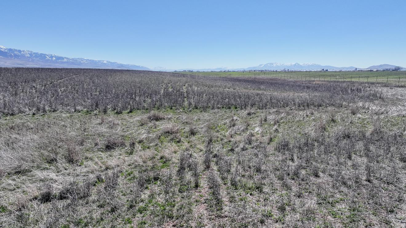 B THURGOOD CLASS 1 SUBDIVISION - Land