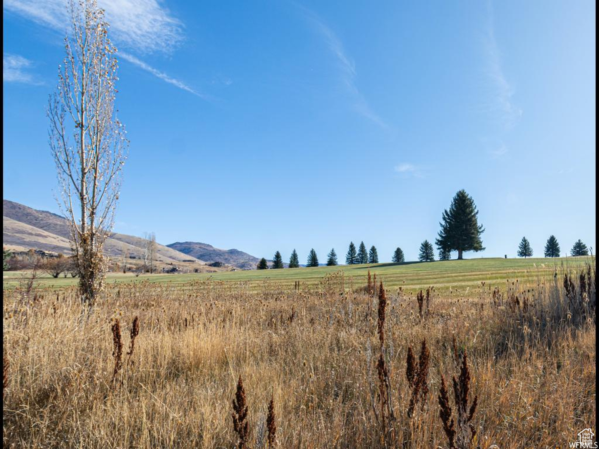 3612 N Huntsman Path #603, Eden, Utah image 17