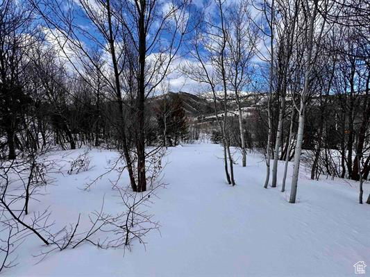 1 Mcpherson Canyon Rd, Grace, Idaho image 25