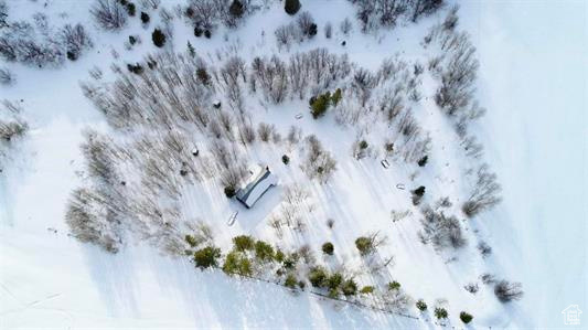 1 Mcpherson Canyon Rd, Grace, Idaho image 7