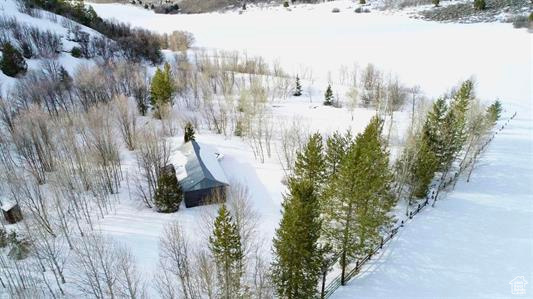 1 Mcpherson Canyon Rd, Grace, Idaho image 9