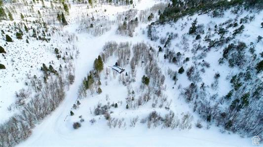 1 Mcpherson Canyon Rd, Grace, Idaho image 6