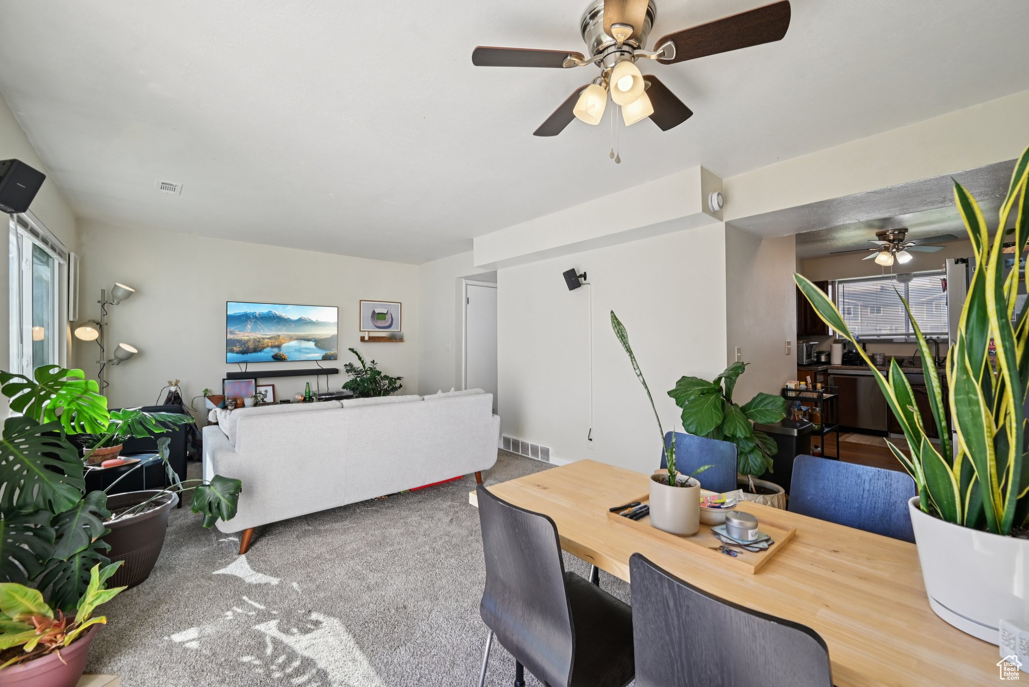 COPPERVIEW VILLAGE - Residential