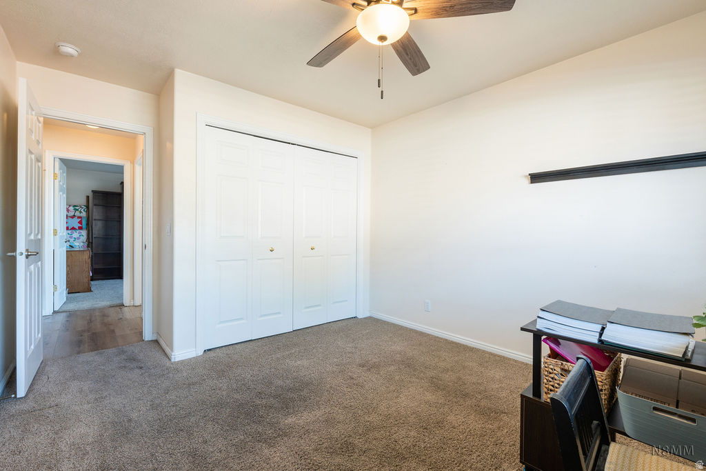 SNOW HAVEN - Residential