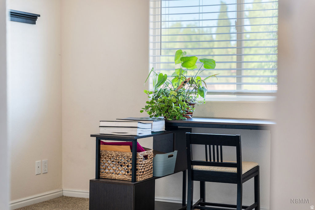 SNOW HAVEN - Residential