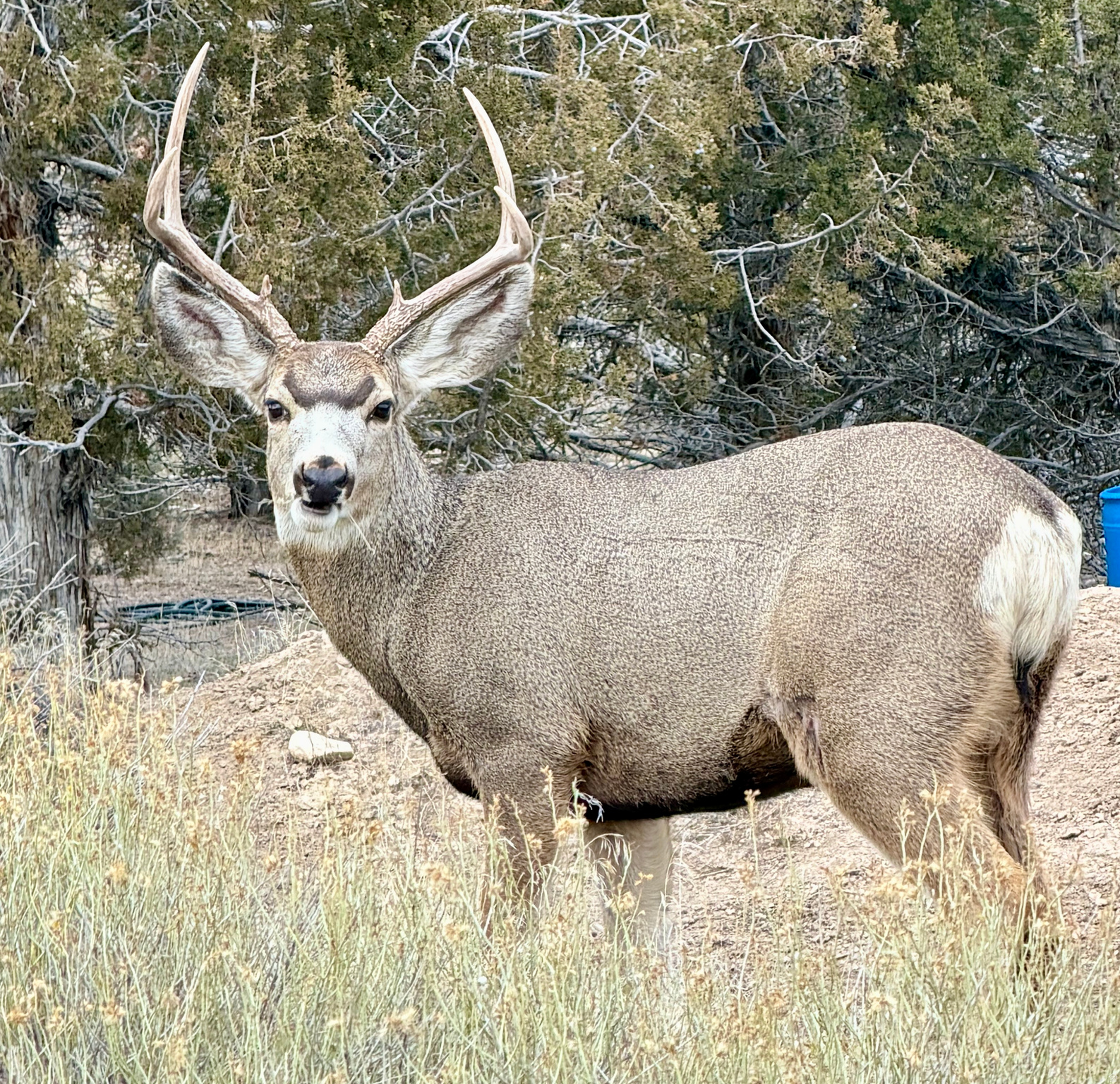 SALEM HOLLOW - Residential