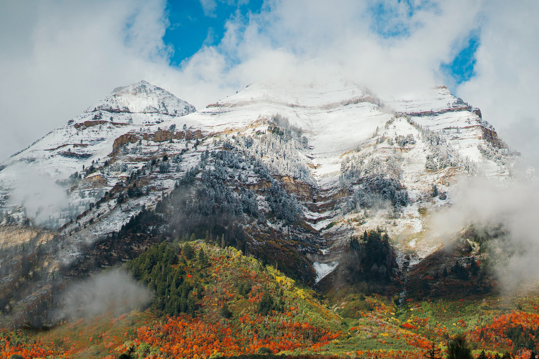 TIMPHAVEN HOMES - Residential