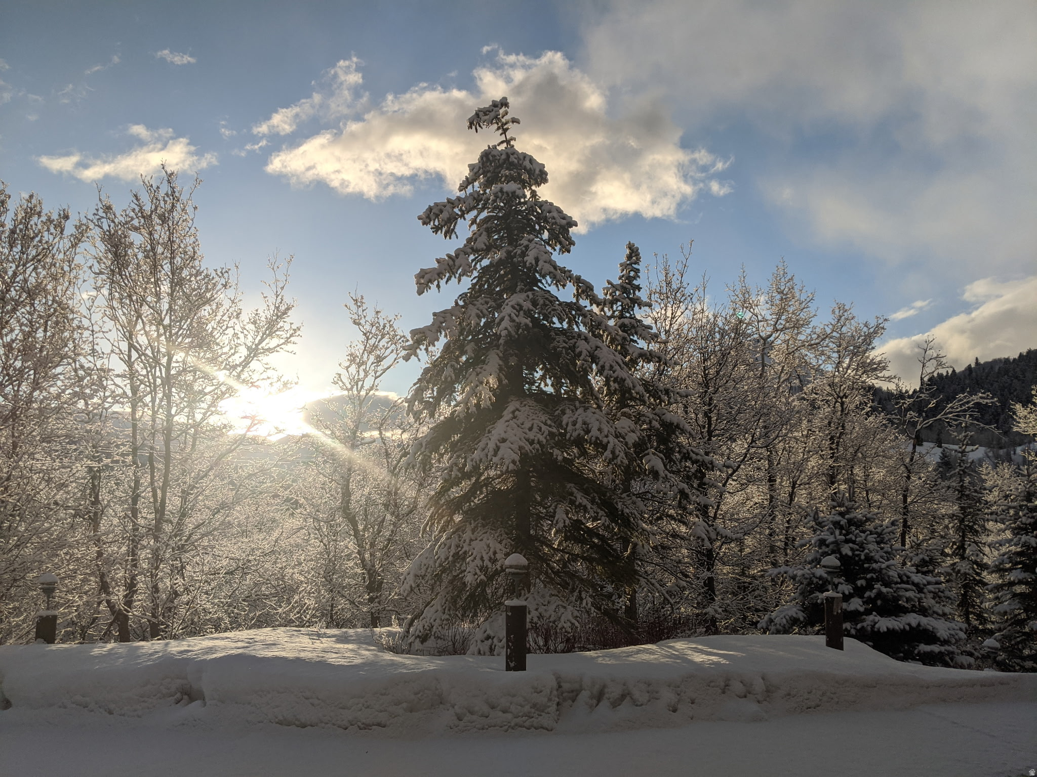 TIMPHAVEN HOMES - Residential