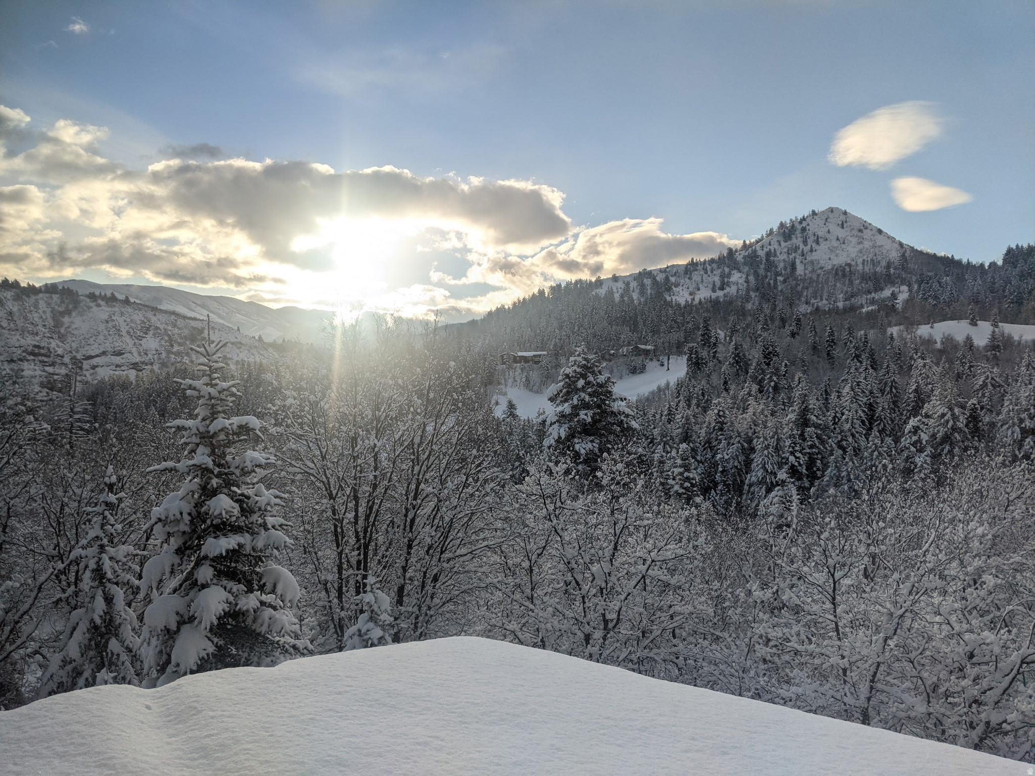 TIMPHAVEN HOMES - Residential