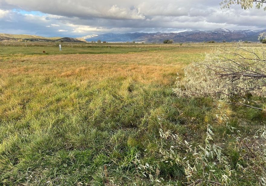 Total acreage for the listing is 42.12 acres. This property consists of 4 separate parcels. Additional Tax ID's include S22338- 4.11 acres, S22337-6.67 acres, S22331-11.52. (Price per acre is 35,500 an acre.)  Water Shares of 39.25 of Pleasant Creek Irrigation Co. are included. Also, includes 2.23 cubic ft of certified water (CFS) from Barton Spring. This property is West of the Drive in Theater and West of the LDS Church on 500 N in Mt. Pleasant. (Common Description 0.5 West of Mt. Pleasant.) Some fencing , gates, and sprinkler pipe are not included in the sale. Buyer to verify all information.