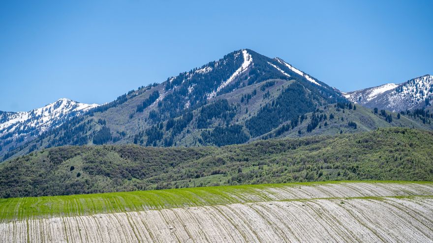 Views and more Views!  Welcome to the west bench, with the Wellsville Mountains rising to the SW and valley/mountain views to the east. A rare 20 acre parcel.  The county says this can be subdivided into 2 building lots. Water for one household domestic use, 1/4 acre of irrigation, and 10 large animal units has been applied for through the state and is expected to be approved. Water Right #26-01915.  Build a dream home with room to roam!