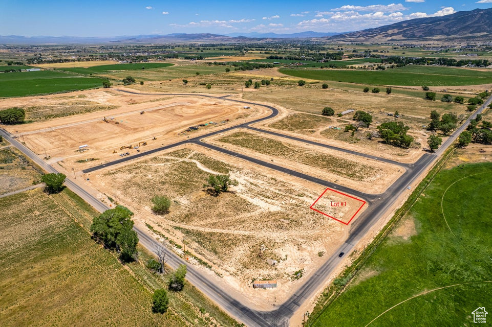 CHELSEY PARTNERS - Residential