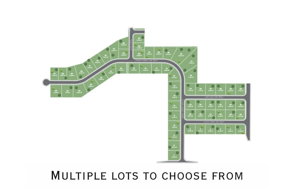 CHELSEY PARTNERS - Residential