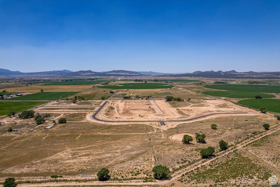 CHELSEY PARTNERS - Residential