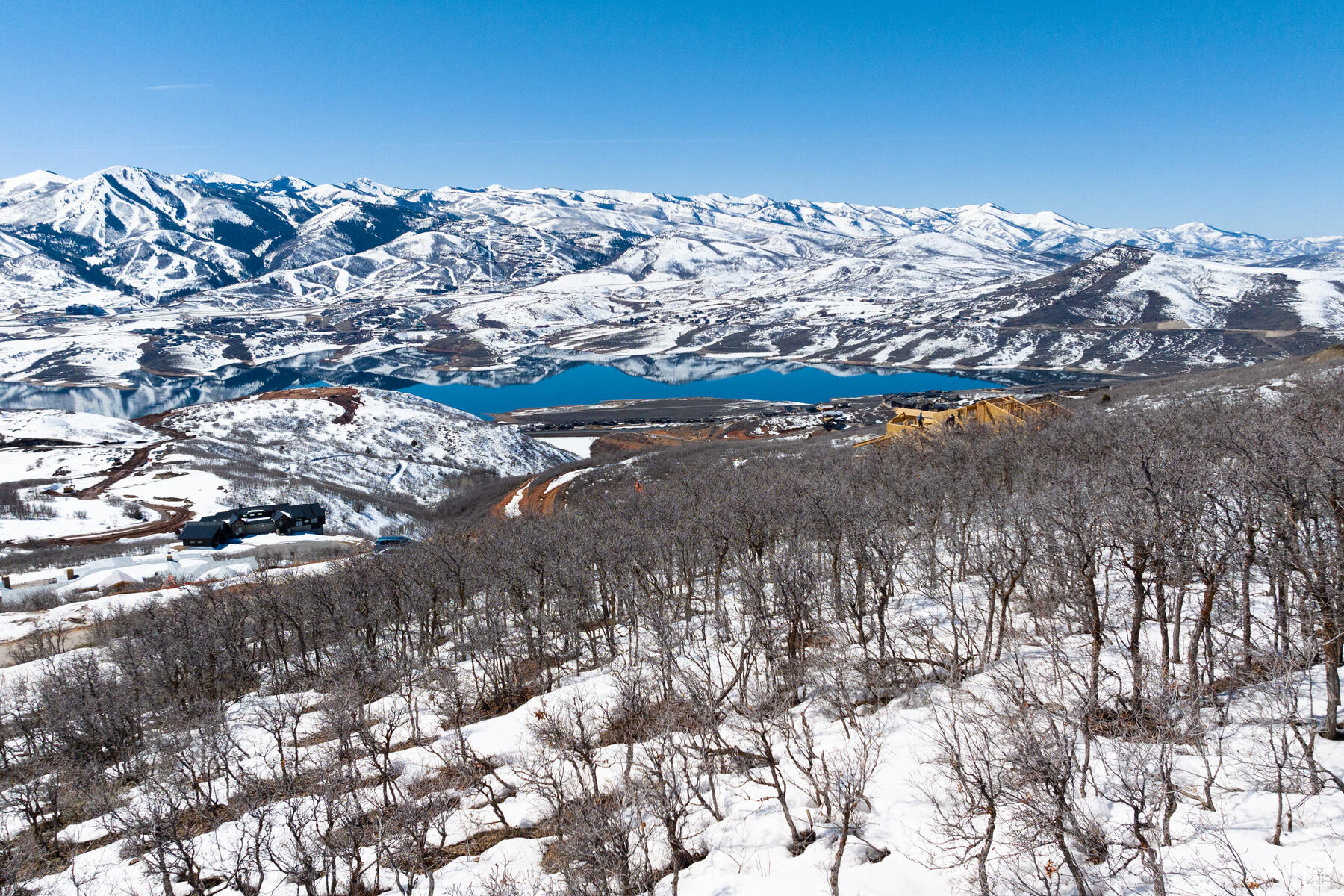 GOLDEN EAGLE - Land
