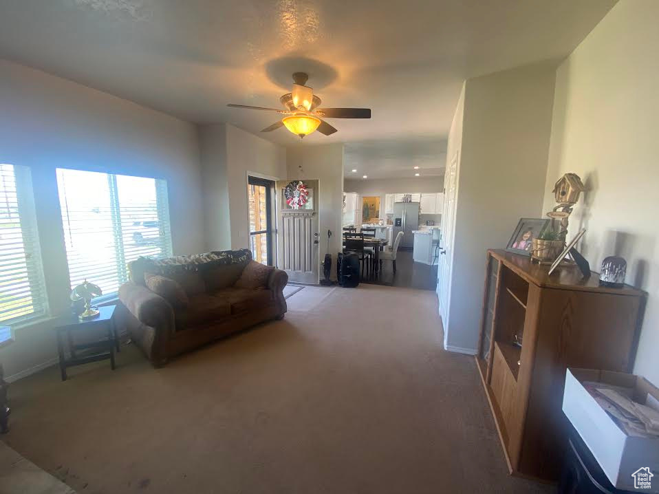 PHEASANT MEADOW ESTATES - Residential