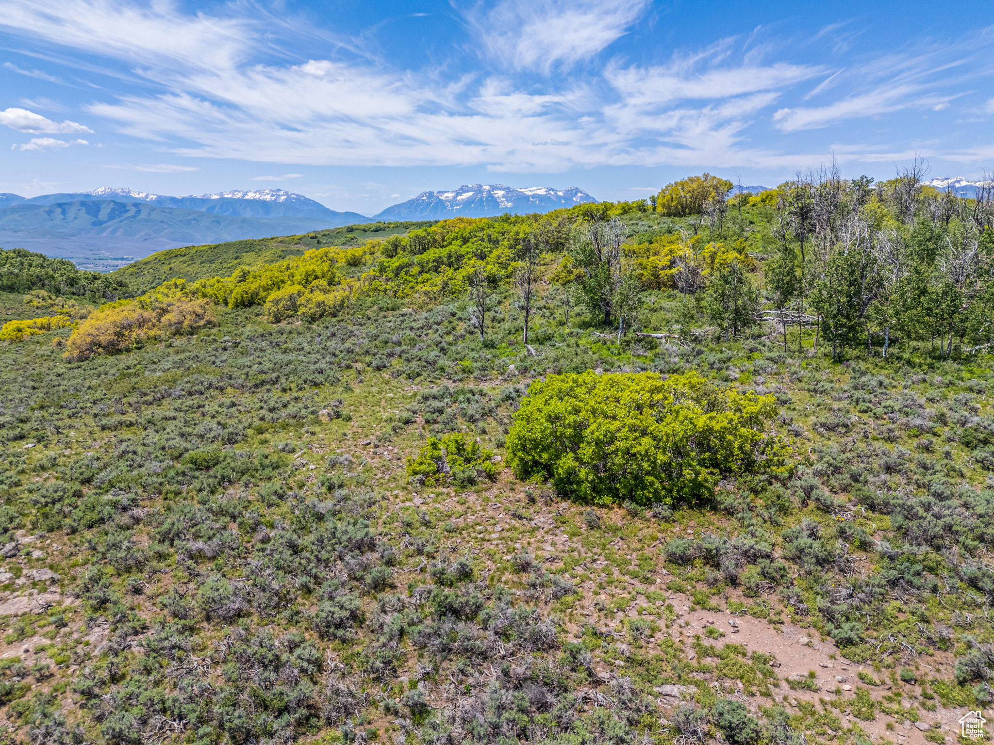 WOLF CREEK RANCH - Land