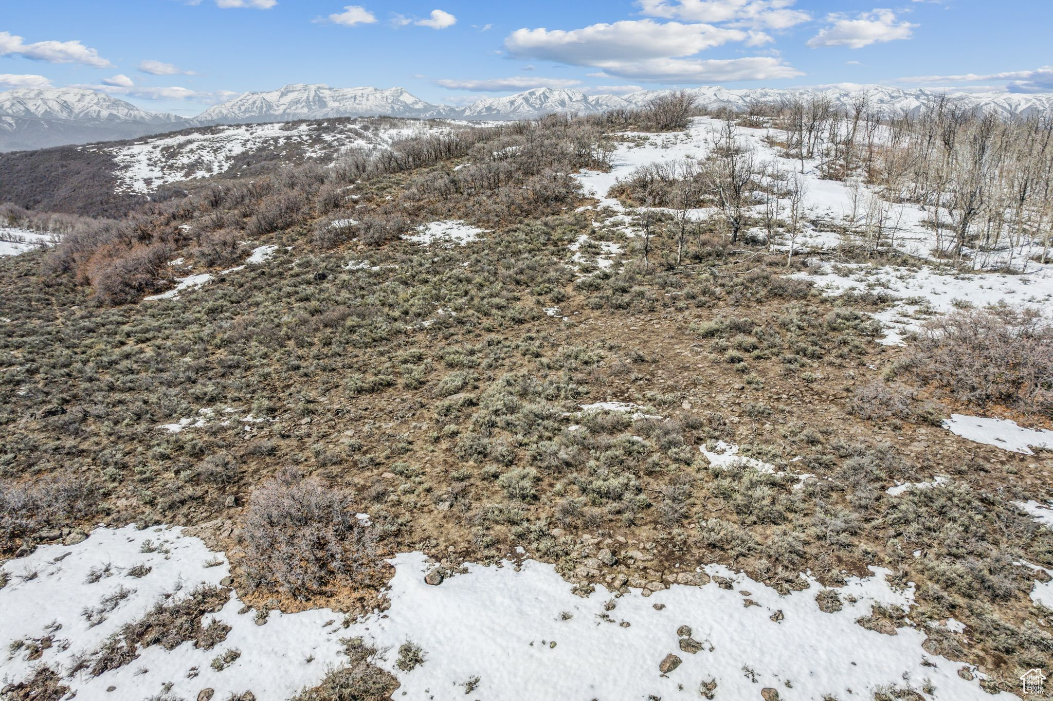 WOLF CREEK RANCH - Land