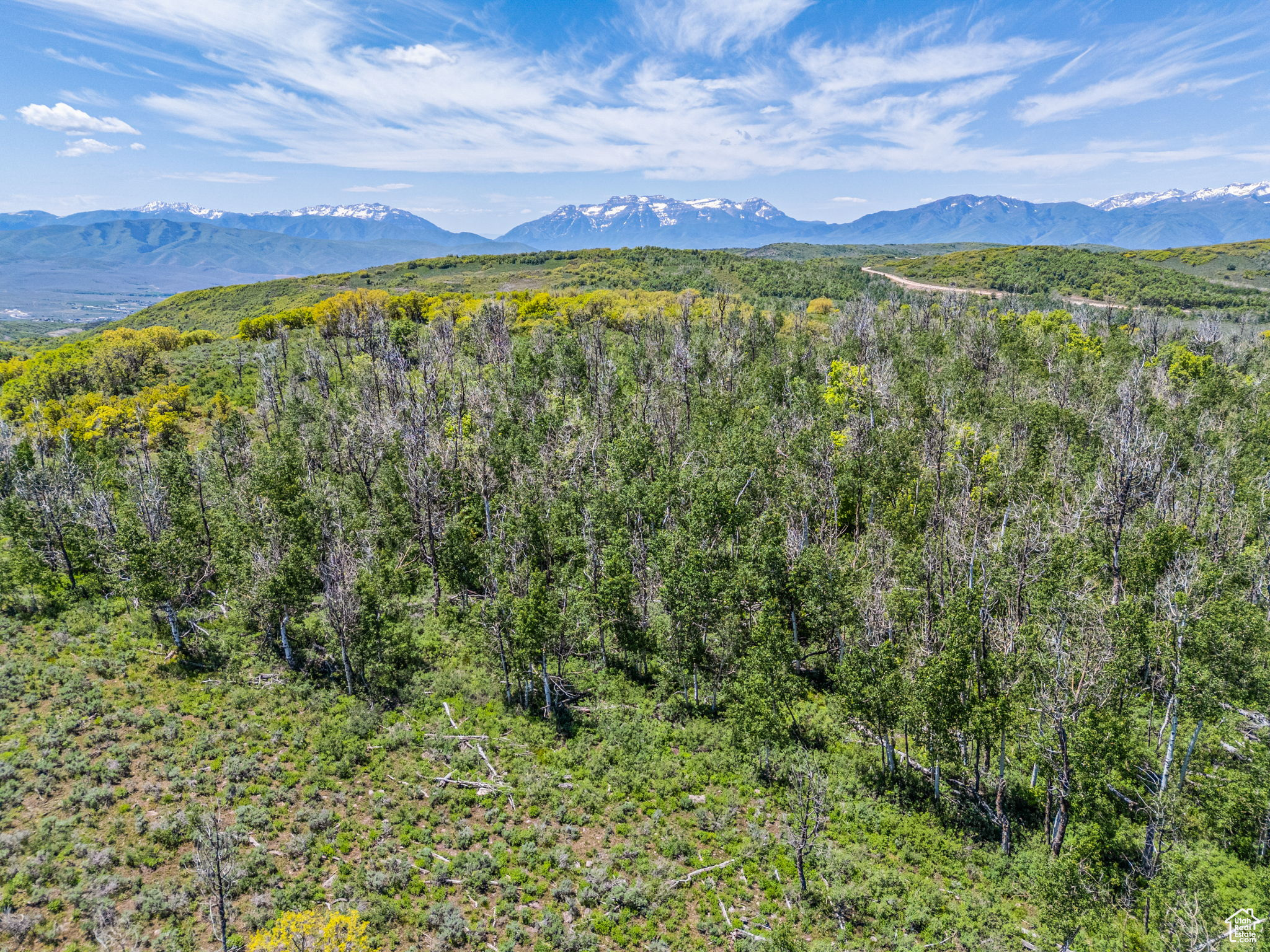 WOLF CREEK RANCH - Land