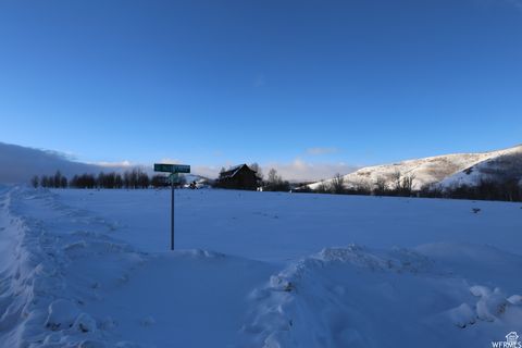 Tiny photo for 109 ASPEN COVE DR #109, Scofield, UT 84526 (MLS # 2106786)