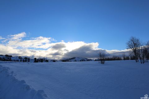 Tiny photo for 109 ASPEN COVE DR #109, Scofield, UT 84526 (MLS # 2106786)