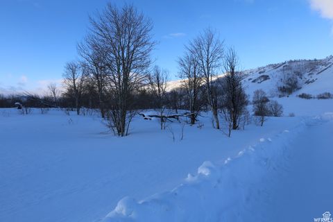 Tiny photo for 109 ASPEN COVE DR #109, Scofield, UT 84526 (MLS # 2106786)