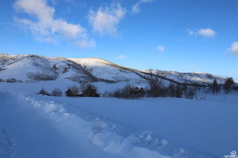 Tiny photo for 109 ASPEN COVE DR #109, Scofield, UT 84526 (MLS # 2106786)