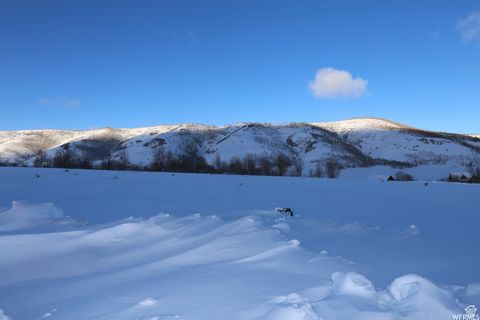 Tiny photo for 109 ASPEN COVE DR #109, Scofield, UT 84526 (MLS # 2106786)