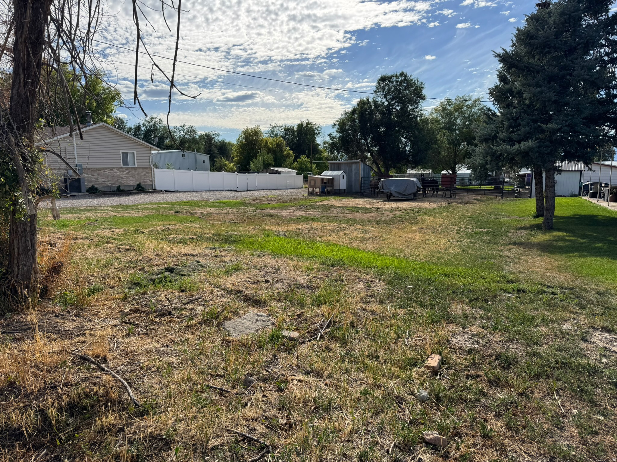 YOUNG PROPERTY - Residential