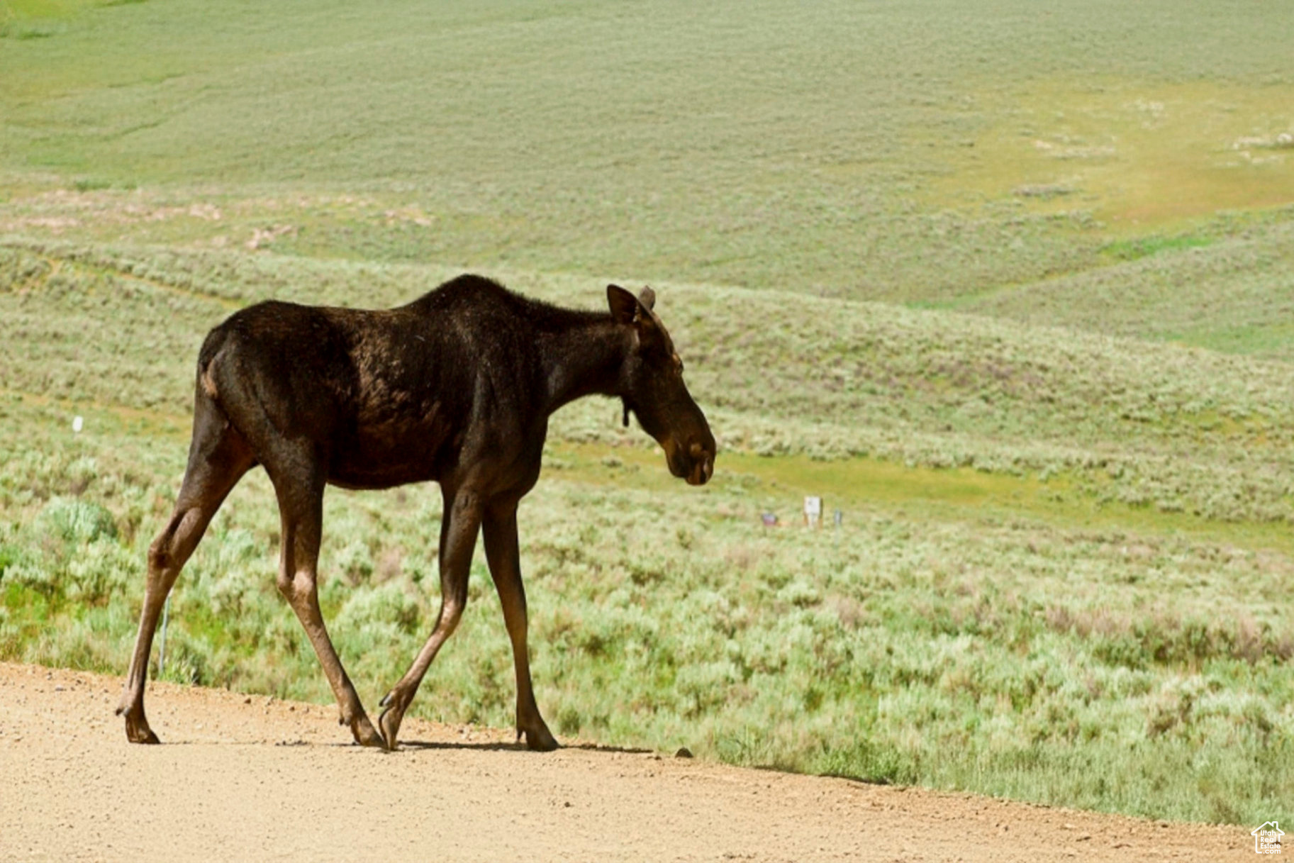SCOFIELD MOUNTAIN ES - Land