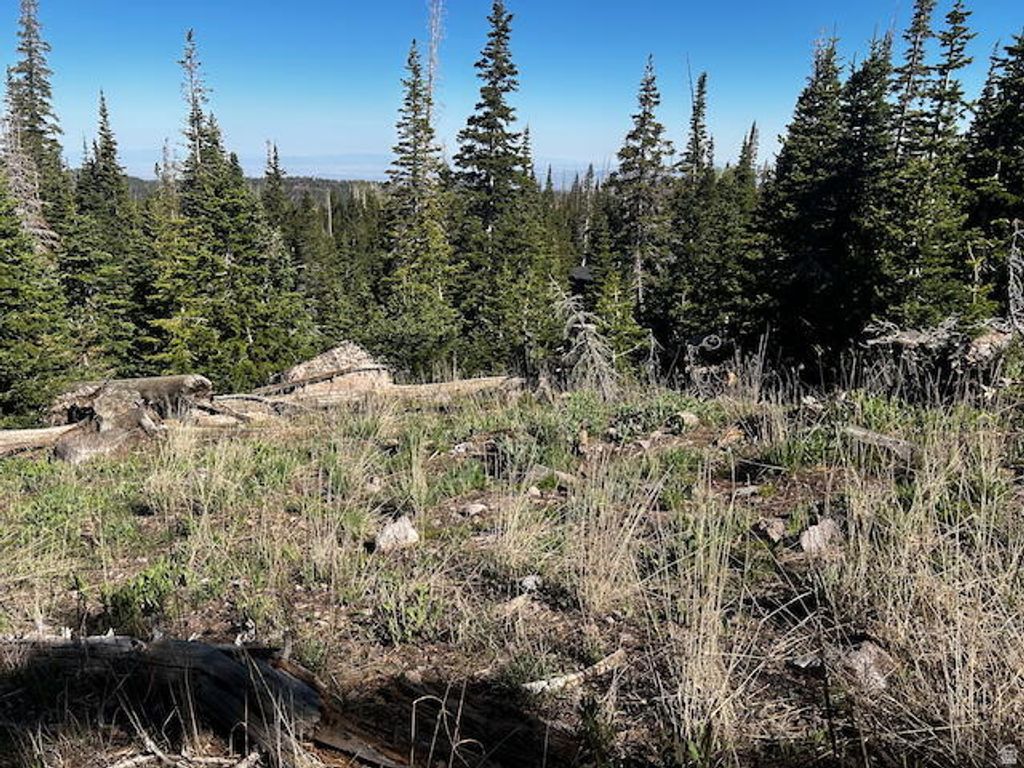 Photo of 115 S OLYMPIC DR, Brian Head, UT 84719 (MLS # 2127973)