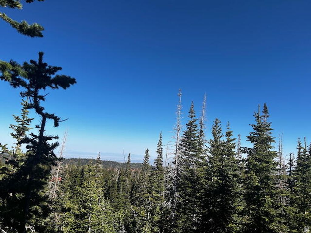 Photo of 115 S OLYMPIC DR, Brian Head, UT 84719 (MLS # 2127973)