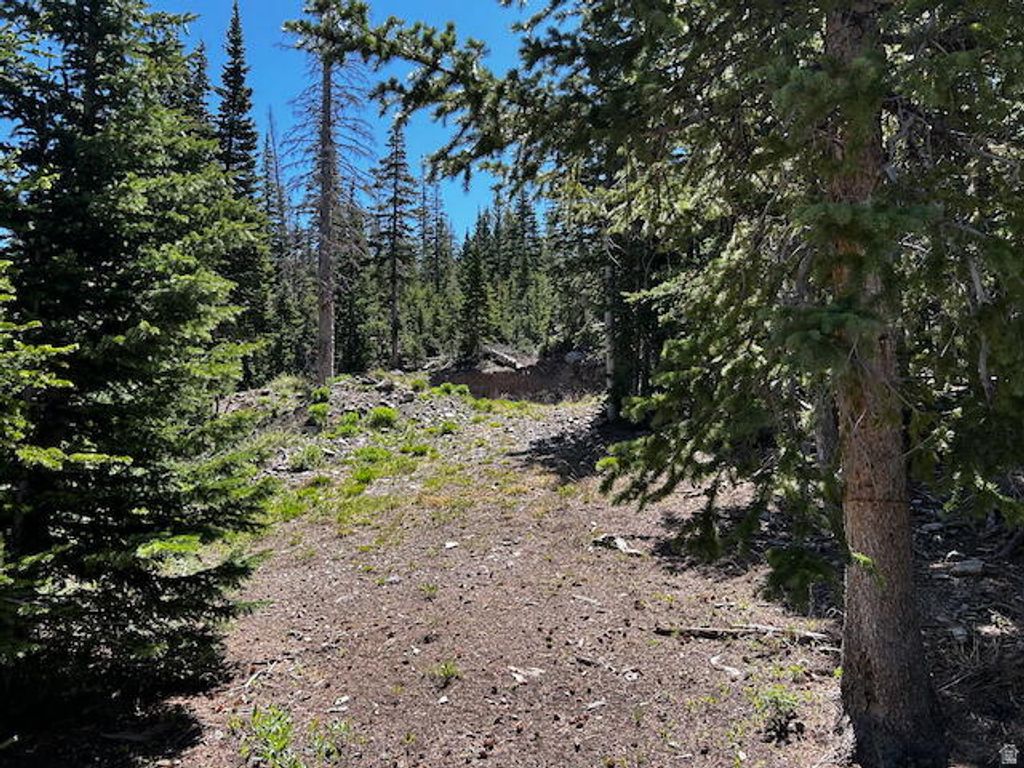 Photo of 115 S OLYMPIC DR, Brian Head, UT 84719 (MLS # 2127973)