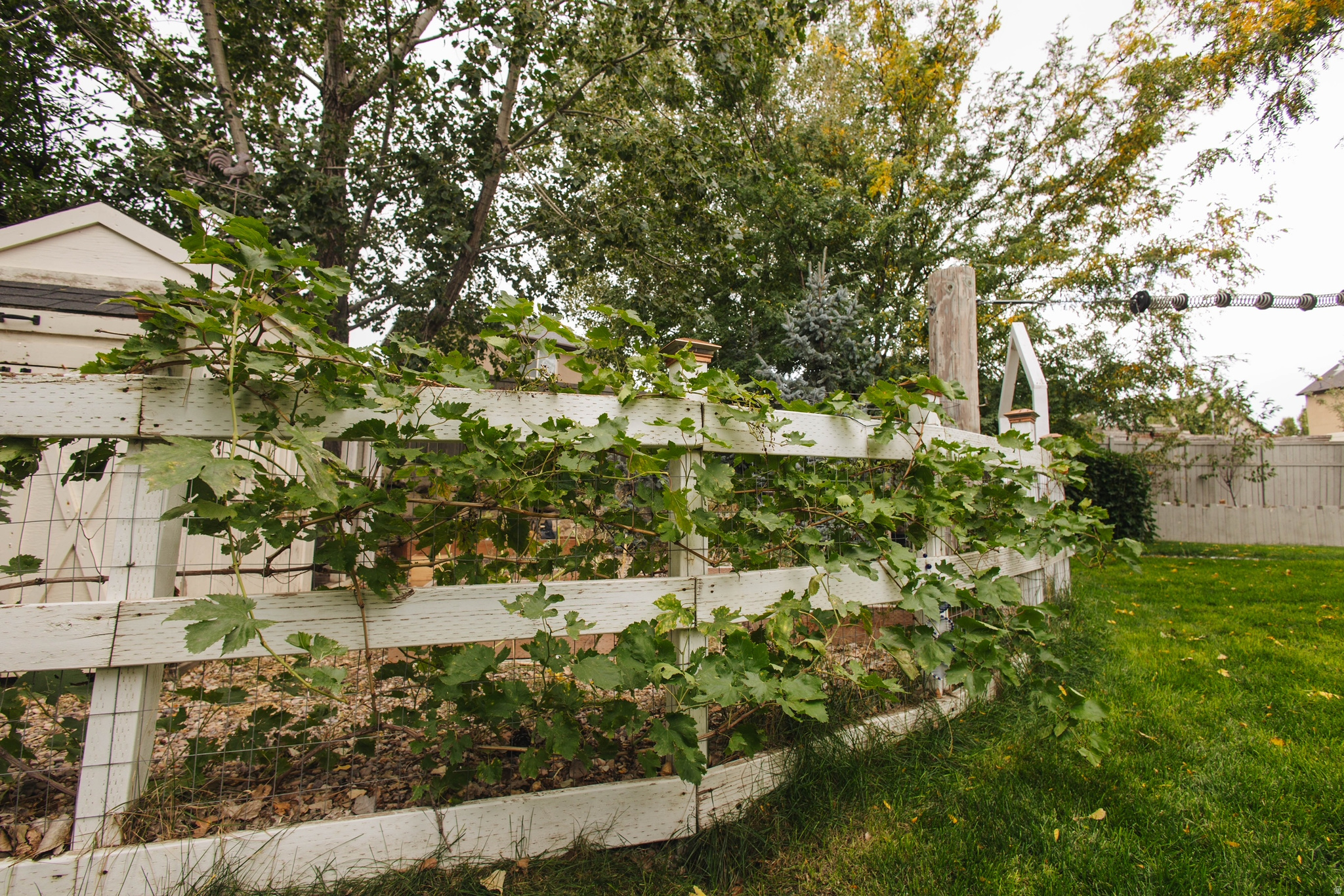SILVER LAKE - Residential