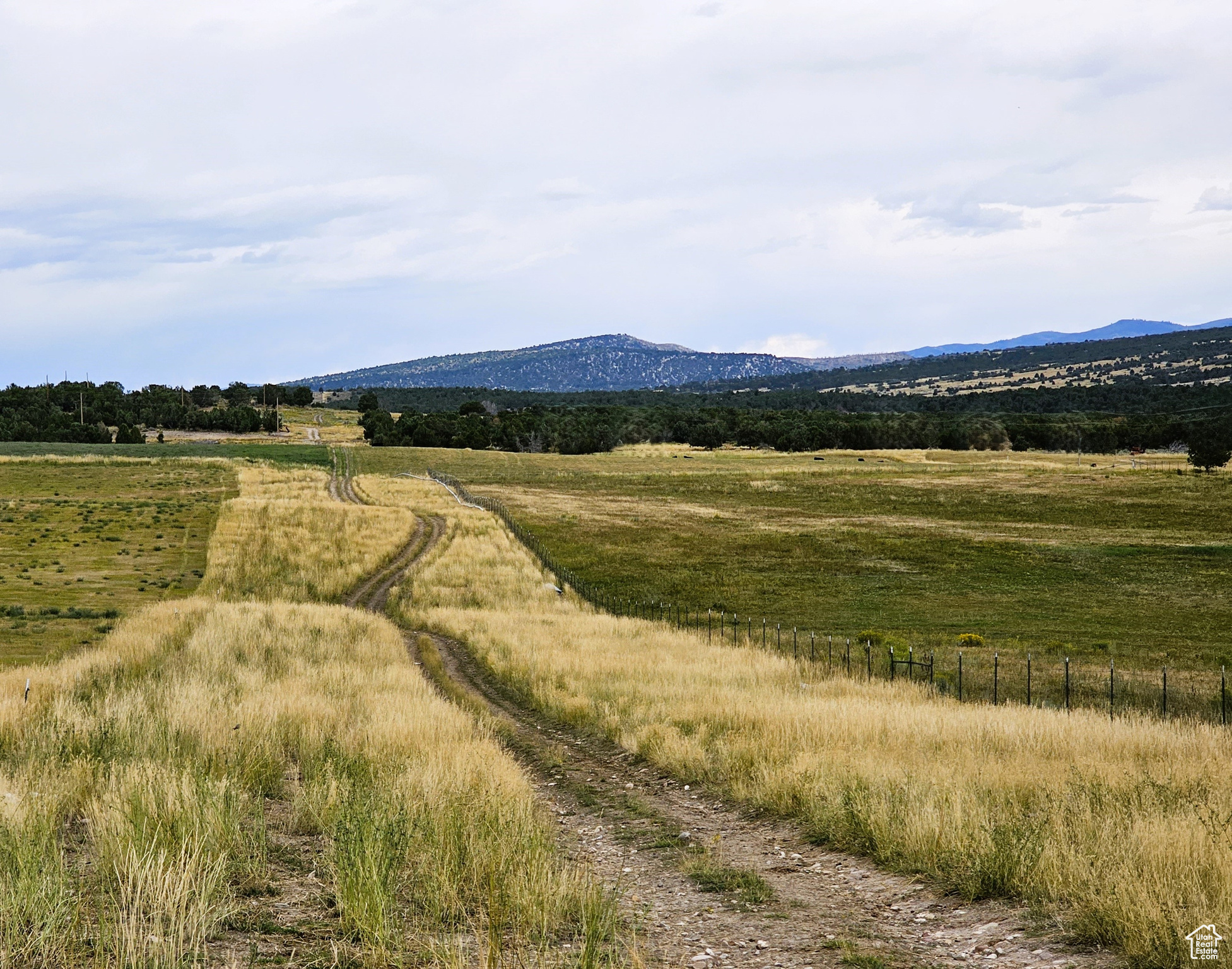 1 N Juinper #1, Fairview, Utah image 4