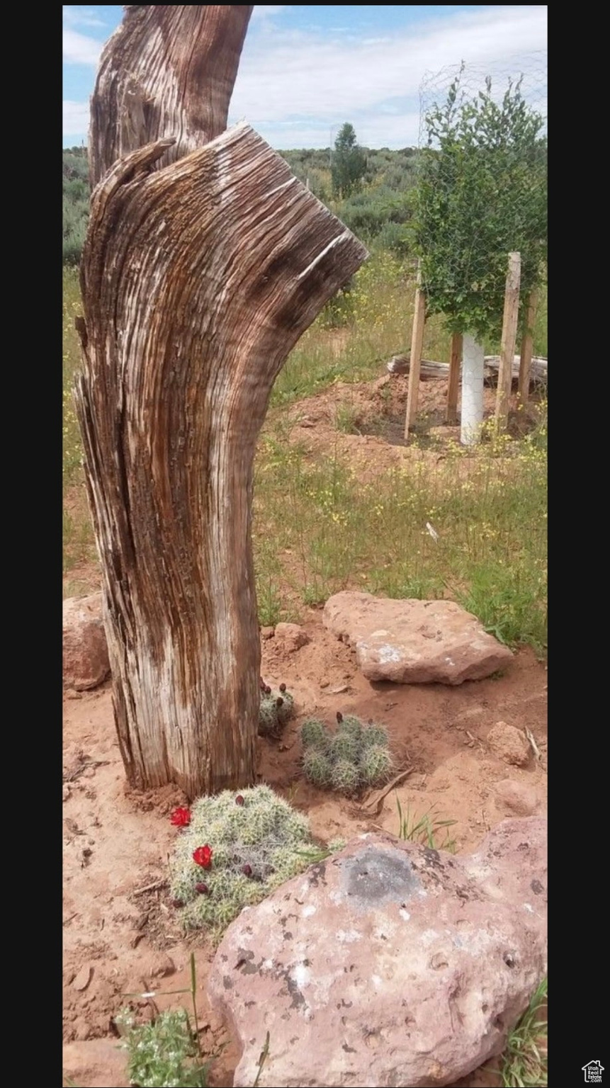 SUNDANCE WEST - Land