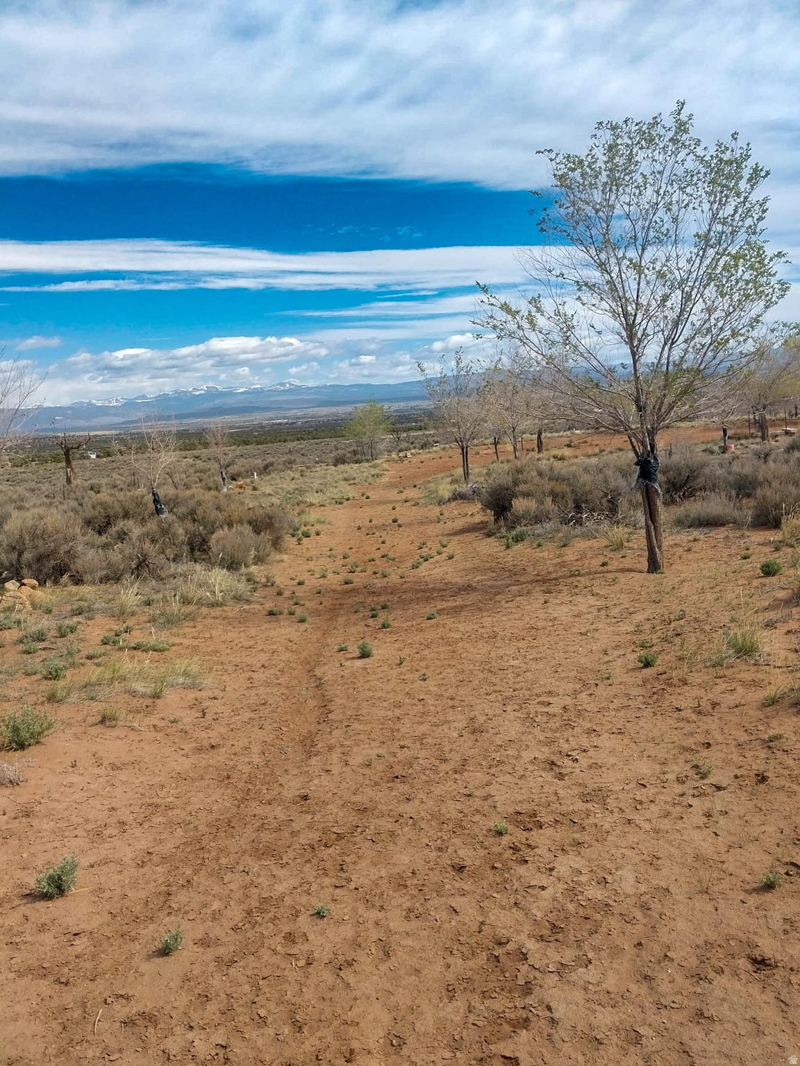 SUNDANCE WEST - Land