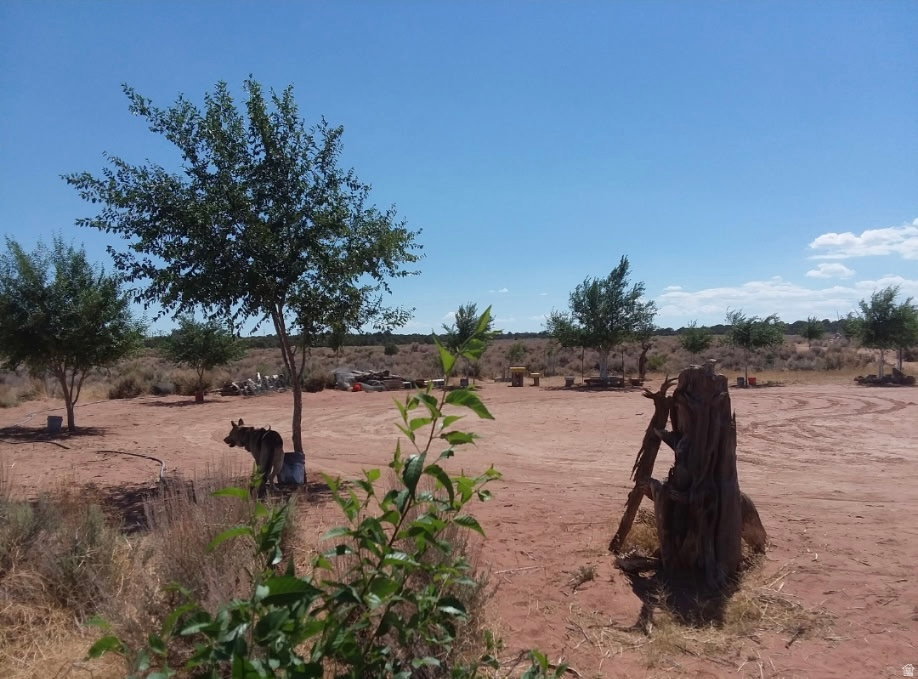 SUNDANCE WEST - Land