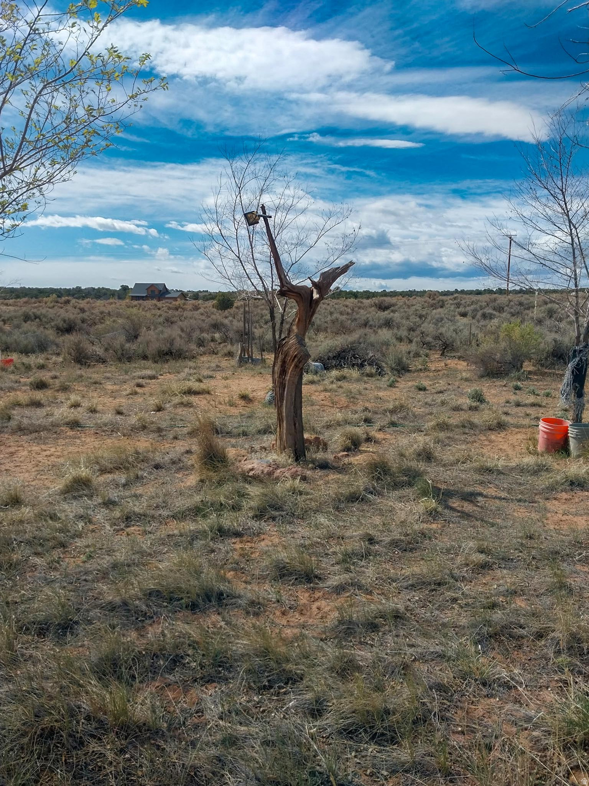 SUNDANCE WEST - Land