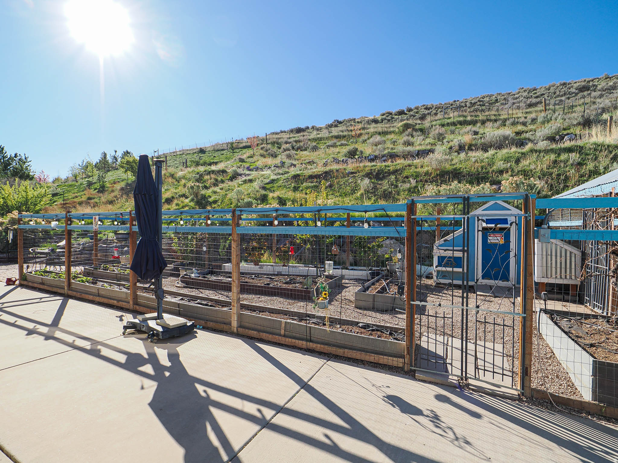 HAMILTON FARMS - Residential